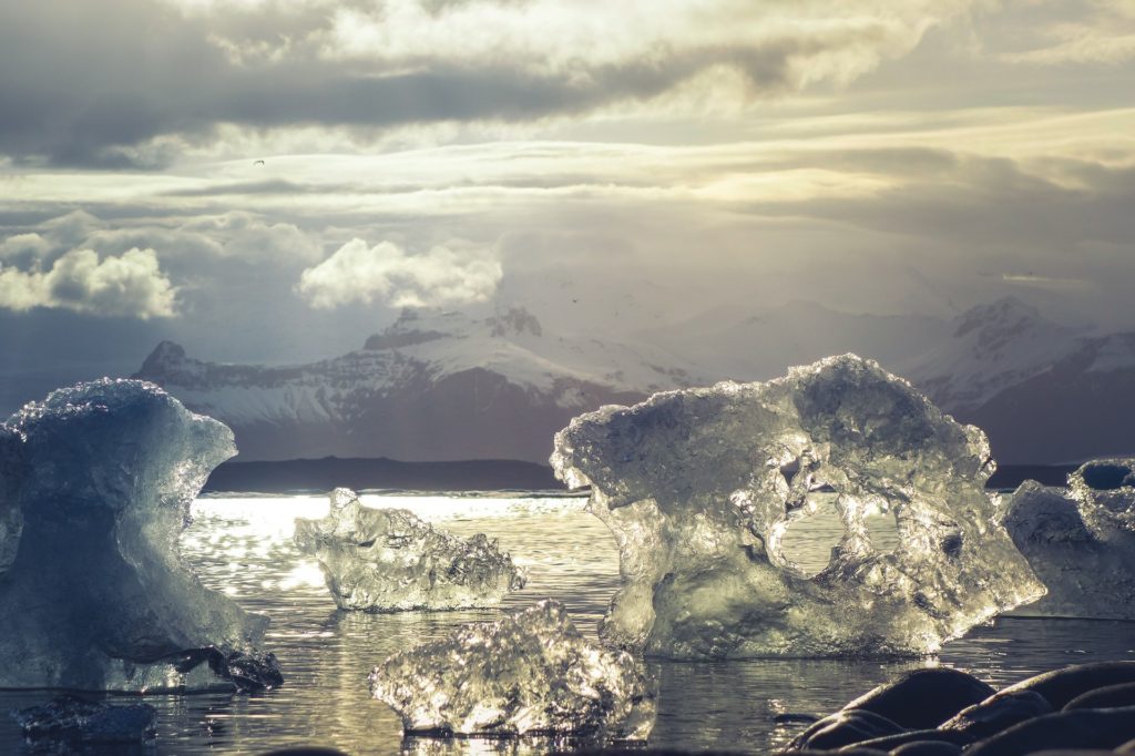 5 Curiosidades sobre a Antártida que você não sabia! - Iceland