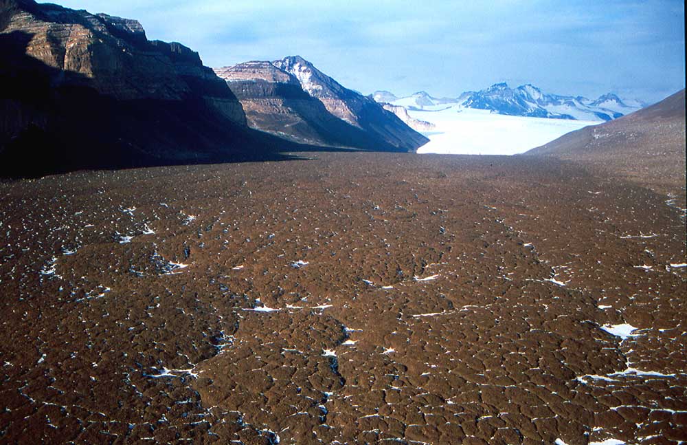 Um vale seco em primeiro plano e ao fundo vê-se a neve.